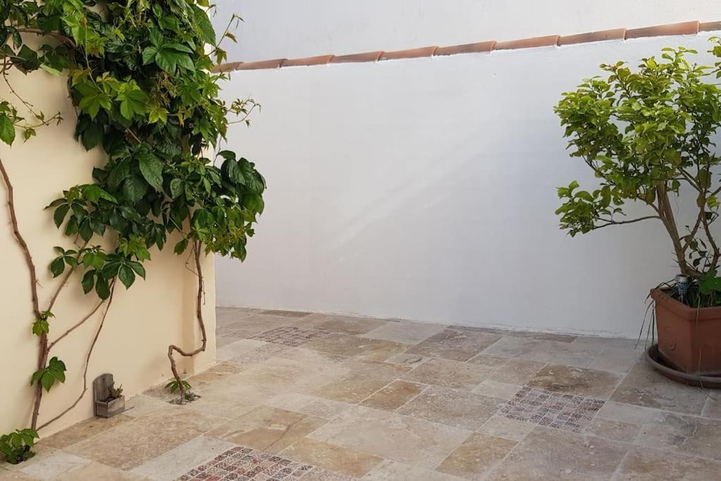 Le Patio